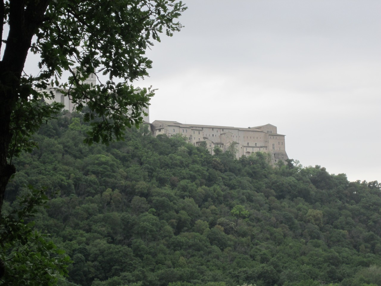 ASSISI 2015